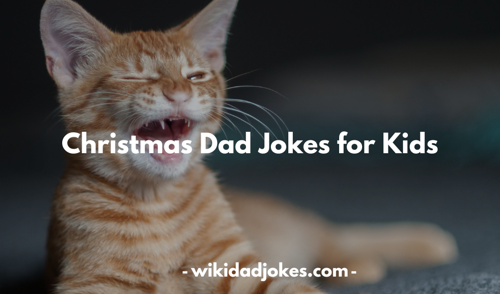 Christmas Dad Jokes 